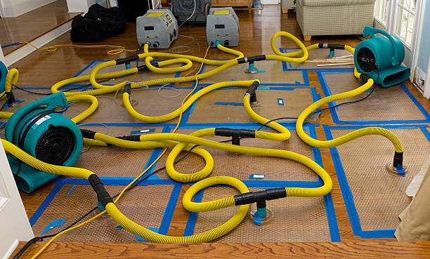 Professional Storm Water Damage Restoration technician working in Lakemore, OH